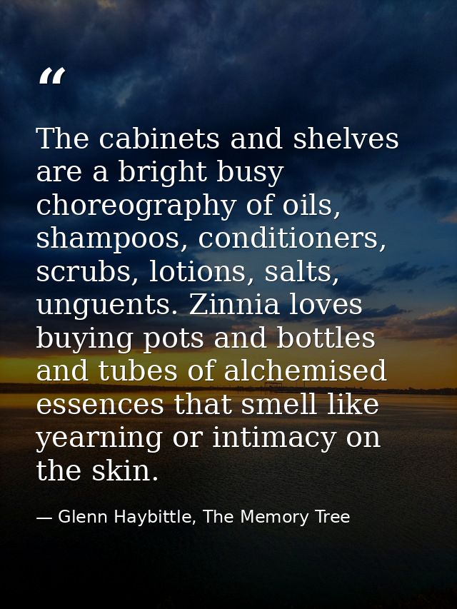 The cabinets and shelves are a bright busy choreography of oils, shampoos, conditioners, scrubs, lotions, salts, unguent — Glenn Haybittle, The Memory Tree