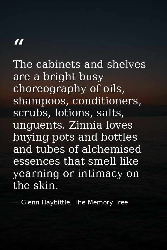 The cabinets and shelves are a bright busy choreography of oils, shampoos, conditioners, scrubs, lotions, salts, unguent — Glenn Haybittle, The Memory Tree