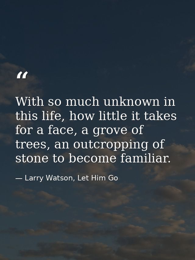 With so much unknown in this life, how little it takes for a face, a grove of trees, an outcropping of stone to become f — Larry Watson, Let Him Go