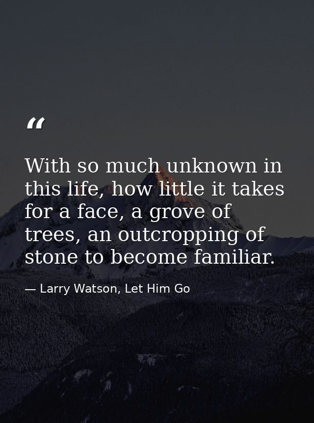 With so much unknown in this life, how little it takes for a face, a grove of trees, an outcropping of stone to become f — Larry Watson, Let Him Go