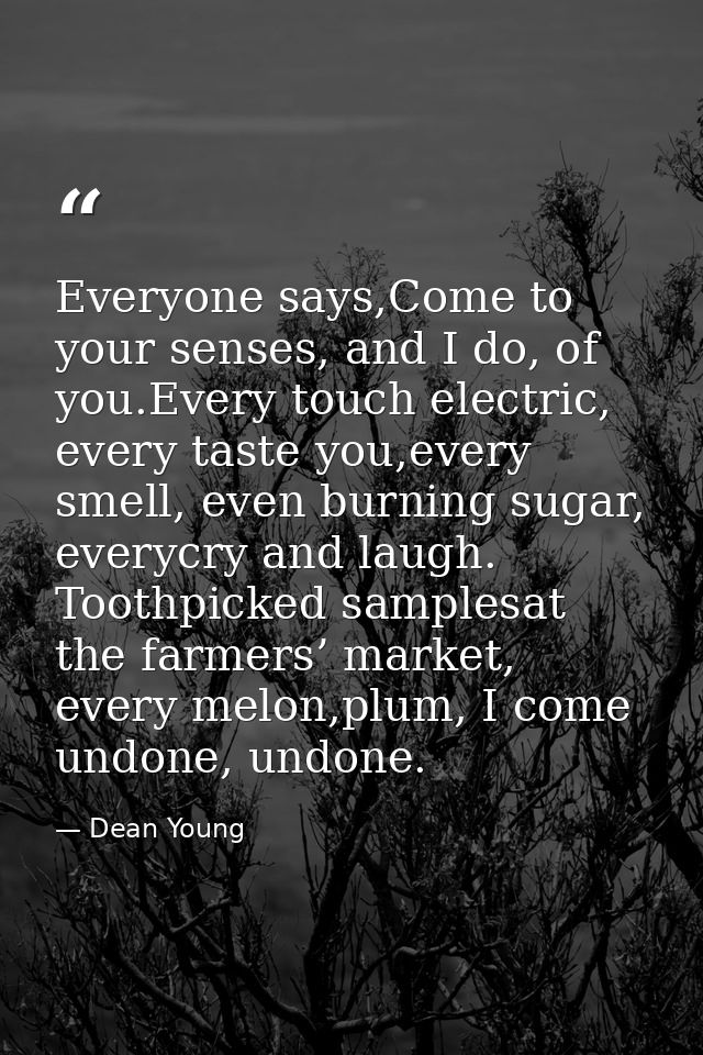 Everyone says,Come to your senses, and I do, of you.Every touch electric, every taste you,every smell, even burning suga — Dean Young