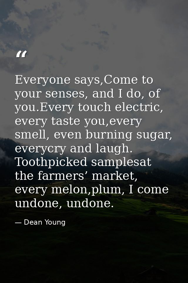 Everyone says,Come to your senses, and I do, of you.Every touch electric, every taste you,every smell, even burning suga — Dean Young