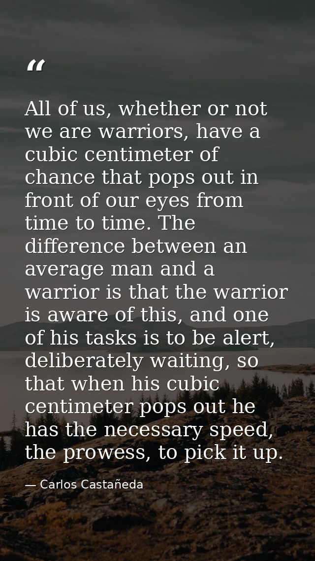 All of us, whether or not we are warriors, have a cubic centimeter of chance that pops out in front of our eyes from tim — Carlos Castañeda