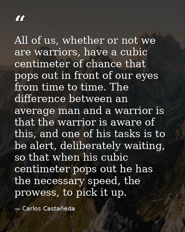 All of us, whether or not we are warriors, have a cubic centimeter of chance that pops out in front of our eyes from tim — Carlos Castañeda