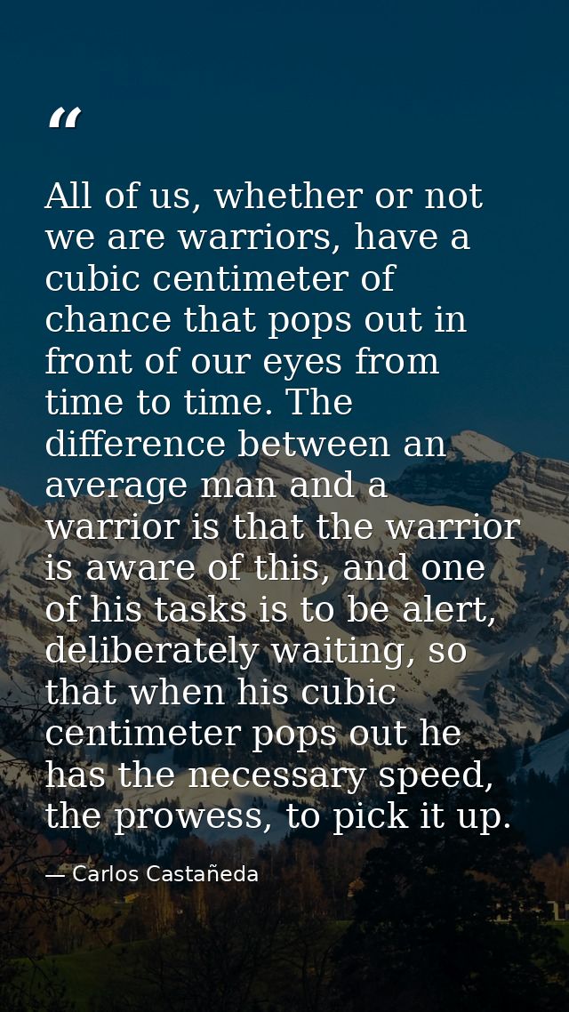 All of us, whether or not we are warriors, have a cubic centimeter of chance that pops out in front of our eyes from tim — Carlos Castañeda