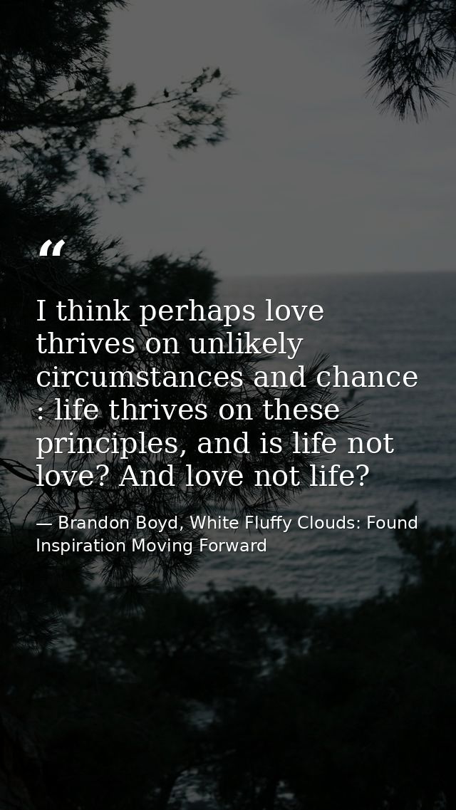 I think perhaps love thrives on unlikely circumstances and chance : life thrives on these principles, and is life not lo — Brandon Boyd, White Fluffy Clouds: Found Inspiration Moving Forward