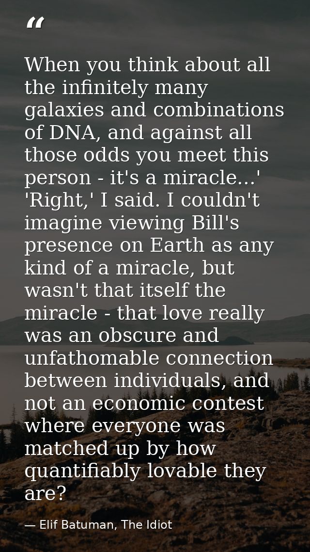 When you think about all the infinitely many galaxies and combinations of DNA, and against all those odds you meet this  — Elif Batuman, The Idiot