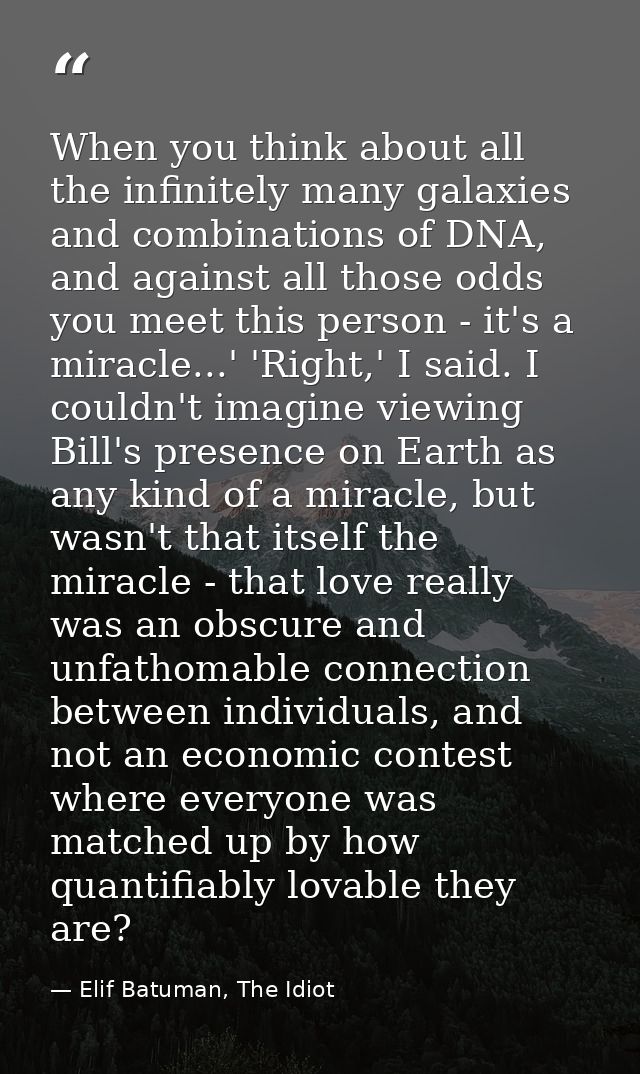 When you think about all the infinitely many galaxies and combinations of DNA, and against all those odds you meet this  — Elif Batuman, The Idiot
