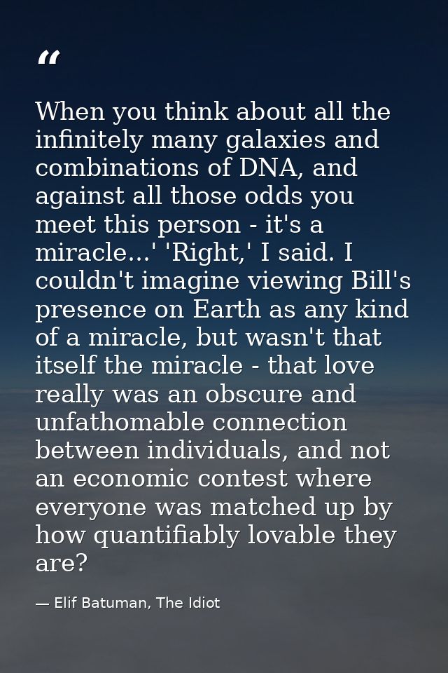 When you think about all the infinitely many galaxies and combinations of DNA, and against all those odds you meet this  — Elif Batuman, The Idiot