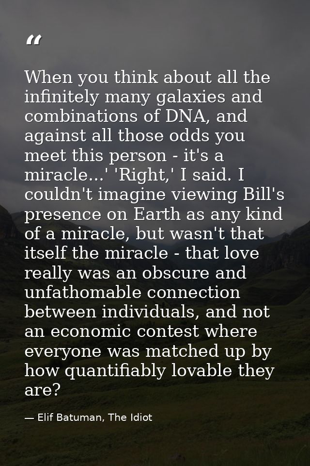 When you think about all the infinitely many galaxies and combinations of DNA, and against all those odds you meet this  — Elif Batuman, The Idiot