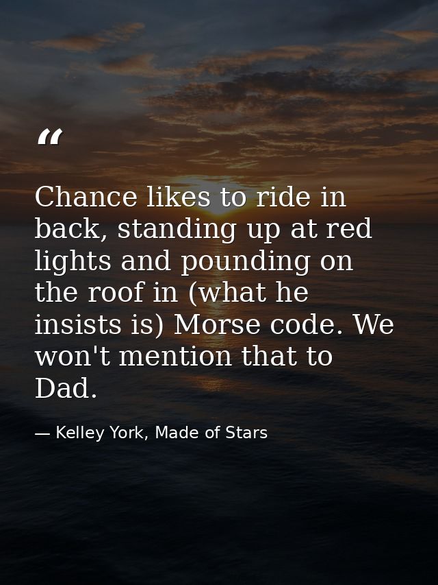 Chance likes to ride in back, standing up at red lights and pounding on the roof in (what he insists is) Morse code. We  — Kelley York, Made of Stars