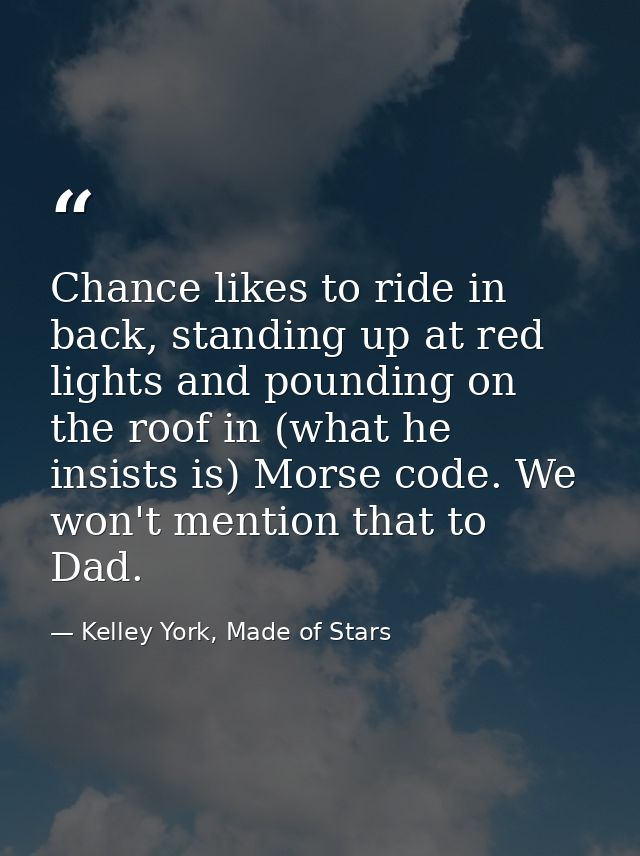 Chance likes to ride in back, standing up at red lights and pounding on the roof in (what he insists is) Morse code. We  — Kelley York, Made of Stars