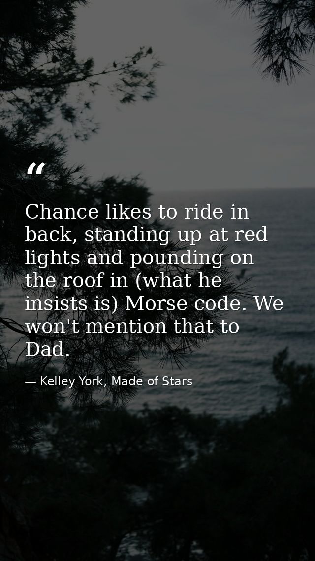 Chance likes to ride in back, standing up at red lights and pounding on the roof in (what he insists is) Morse code. We  — Kelley York, Made of Stars