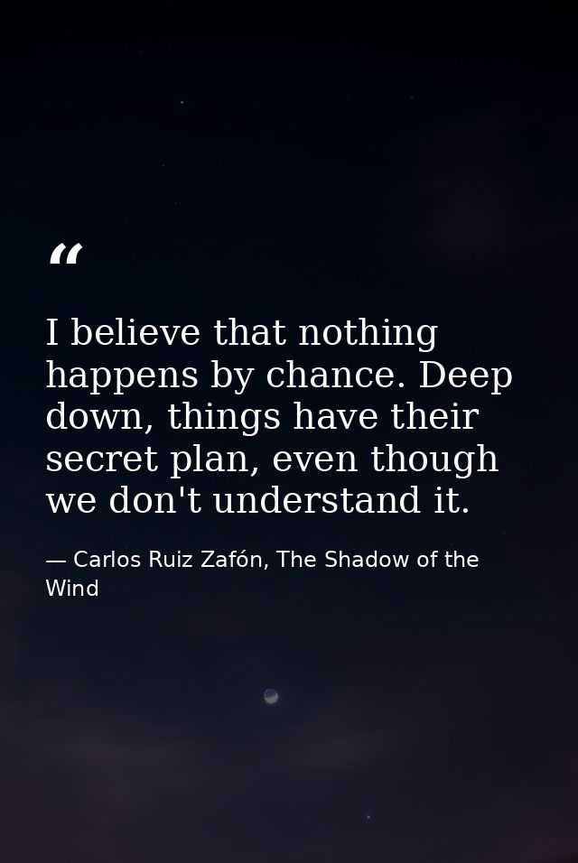 I believe that nothing happens by chance. Deep down, things have their secret plan, even though we don't understand it. — Carlos Ruiz Zafón, The Shadow of the Wind