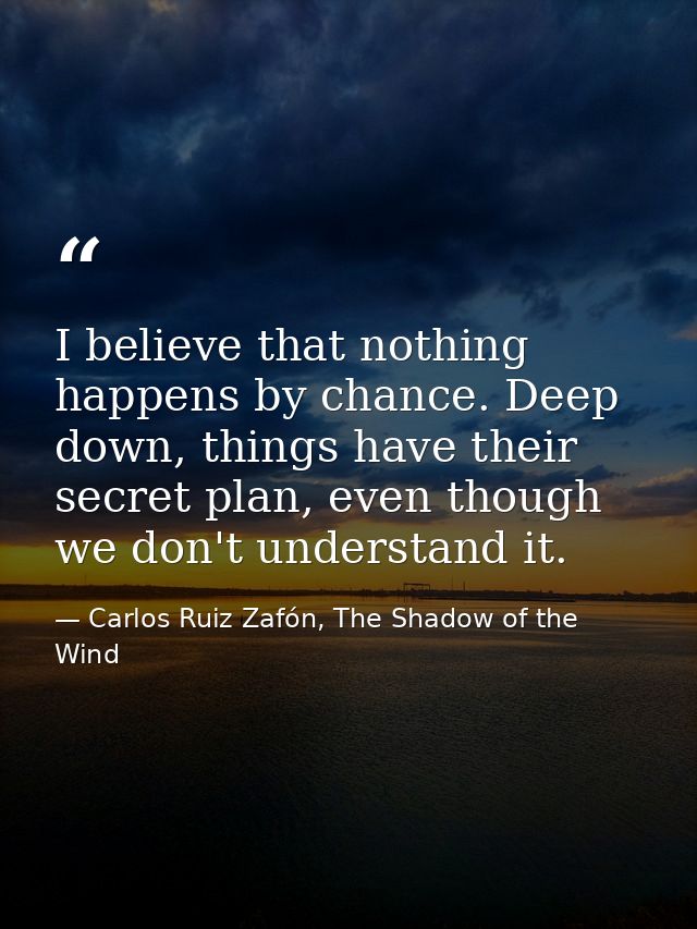 I believe that nothing happens by chance. Deep down, things have their secret plan, even though we don't understand it. — Carlos Ruiz Zafón, The Shadow of the Wind
