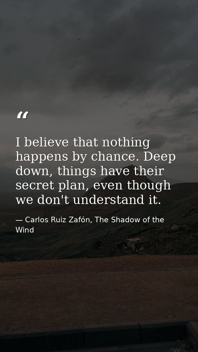 I believe that nothing happens by chance. Deep down, things have their secret plan, even though we don't understand it. — Carlos Ruiz Zafón, The Shadow of the Wind