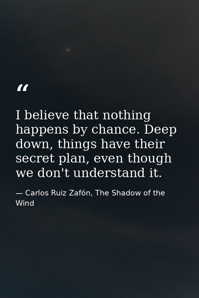 I believe that nothing happens by chance. Deep down, things have their secret plan, even though we don't understand it. — Carlos Ruiz Zafón, The Shadow of the Wind