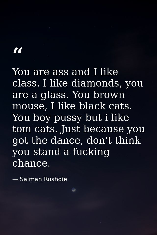 You are ass and I like class. I like diamonds, you are a glass. You brown mouse, I like black cats. You boy pussy but i  — Salman Rushdie