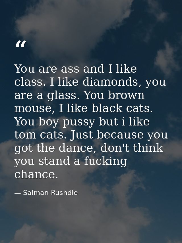 You are ass and I like class. I like diamonds, you are a glass. You brown mouse, I like black cats. You boy pussy but i  — Salman Rushdie