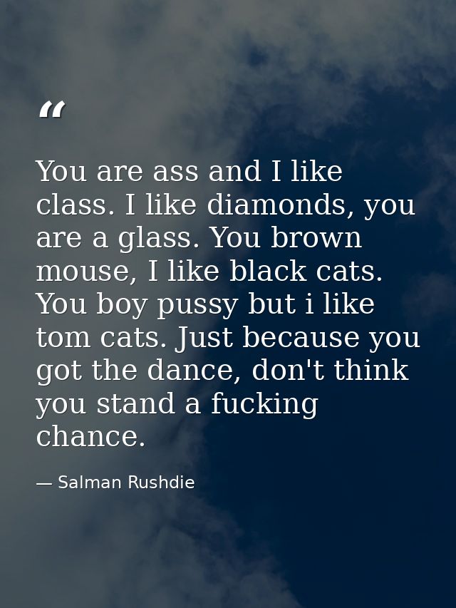 You are ass and I like class. I like diamonds, you are a glass. You brown mouse, I like black cats. You boy pussy but i  — Salman Rushdie