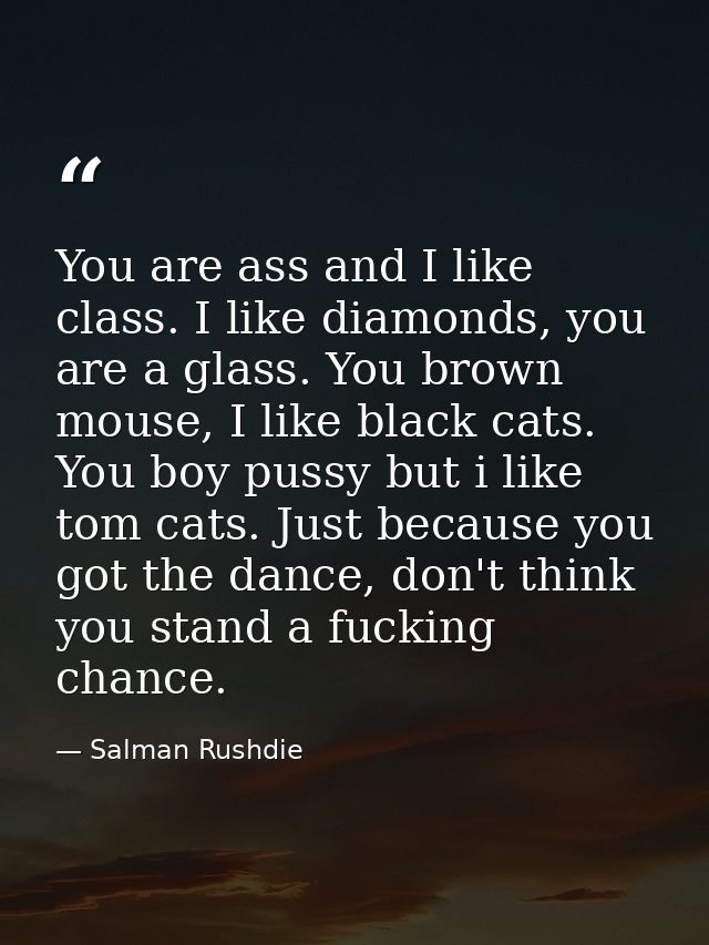 You are ass and I like class. I like diamonds, you are a glass. You brown mouse, I like black cats. You boy pussy but i  — Salman Rushdie