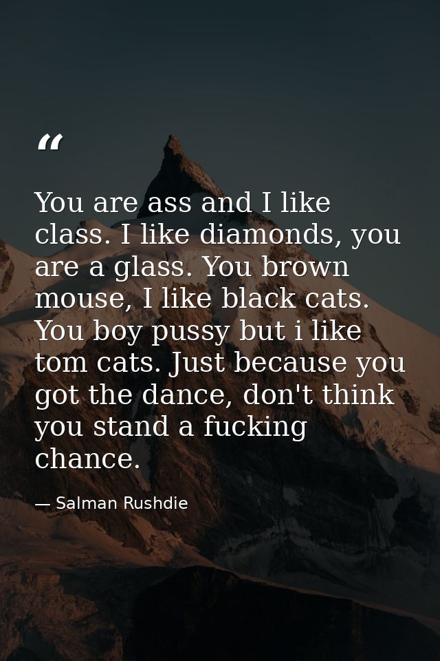 You are ass and I like class. I like diamonds, you are a glass. You brown mouse, I like black cats. You boy pussy but i  — Salman Rushdie
