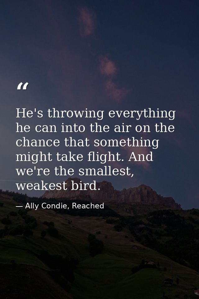 He's throwing everything he can into the air on the chance that something might take flight. And we're the smallest, wea — Ally Condie, Reached
