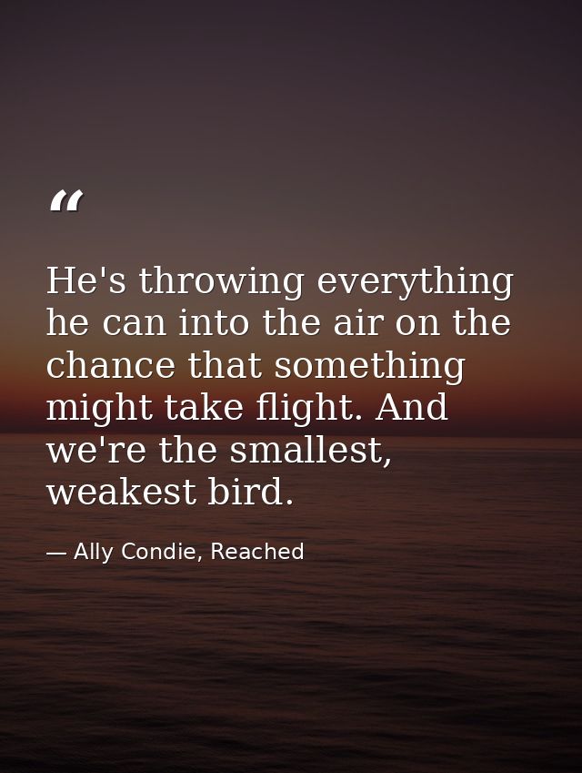He's throwing everything he can into the air on the chance that something might take flight. And we're the smallest, wea — Ally Condie, Reached