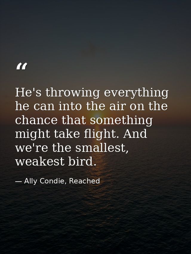 He's throwing everything he can into the air on the chance that something might take flight. And we're the smallest, wea — Ally Condie, Reached