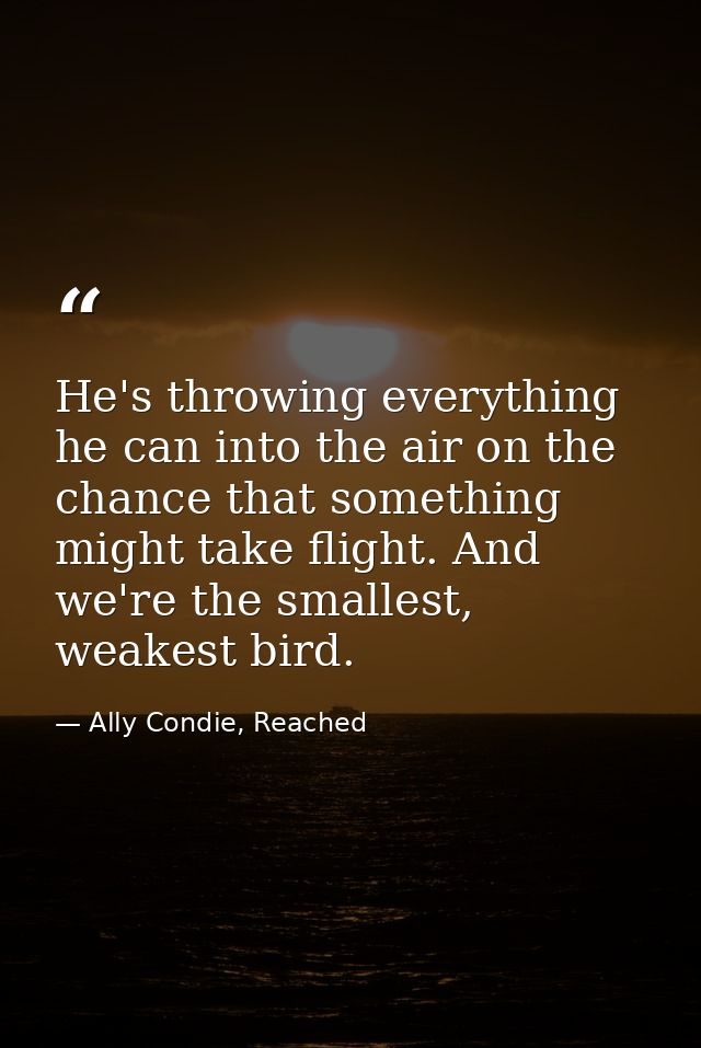 He's throwing everything he can into the air on the chance that something might take flight. And we're the smallest, wea — Ally Condie, Reached