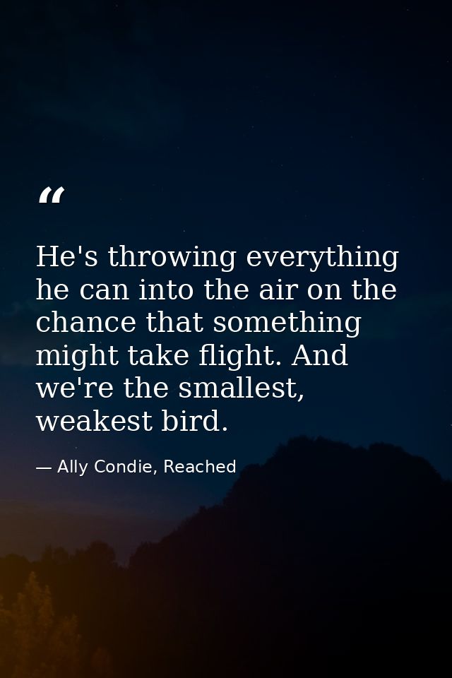 He's throwing everything he can into the air on the chance that something might take flight. And we're the smallest, wea — Ally Condie, Reached