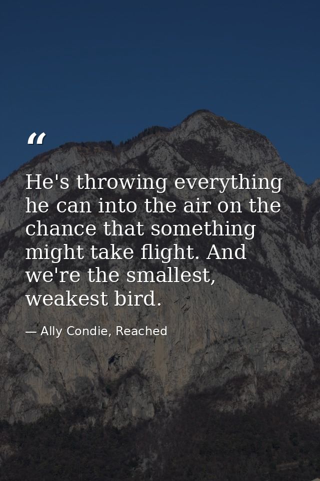 He's throwing everything he can into the air on the chance that something might take flight. And we're the smallest, wea — Ally Condie, Reached