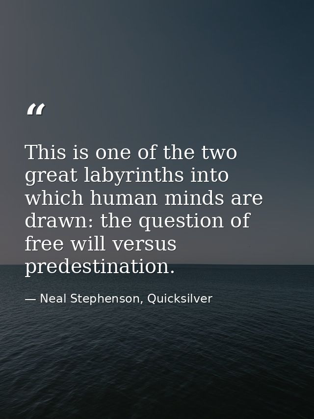 This is one of the two great labyrinths into which human minds are drawn: the question of free will versus predestinatio — Neal Stephenson, Quicksilver