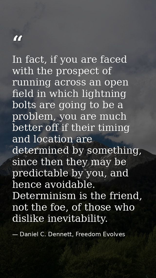In fact, if you are faced with the prospect of running across an open field in which lightning bolts are going to be a p — Daniel C. Dennett, Freedom Evolves