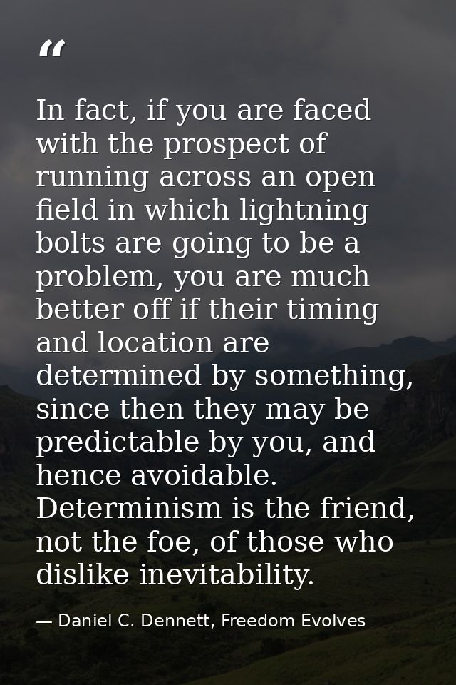 In fact, if you are faced with the prospect of running across an open field in which lightning bolts are going to be a p — Daniel C. Dennett, Freedom Evolves