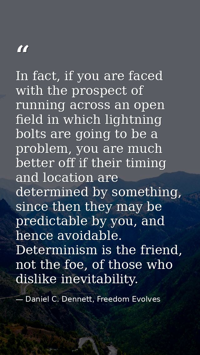In fact, if you are faced with the prospect of running across an open field in which lightning bolts are going to be a p — Daniel C. Dennett, Freedom Evolves
