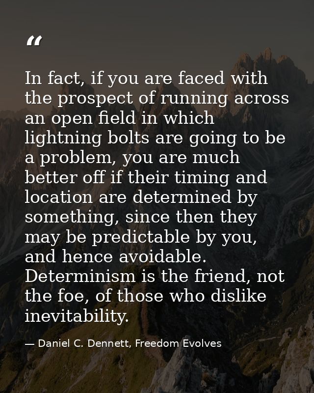 In fact, if you are faced with the prospect of running across an open field in which lightning bolts are going to be a p — Daniel C. Dennett, Freedom Evolves