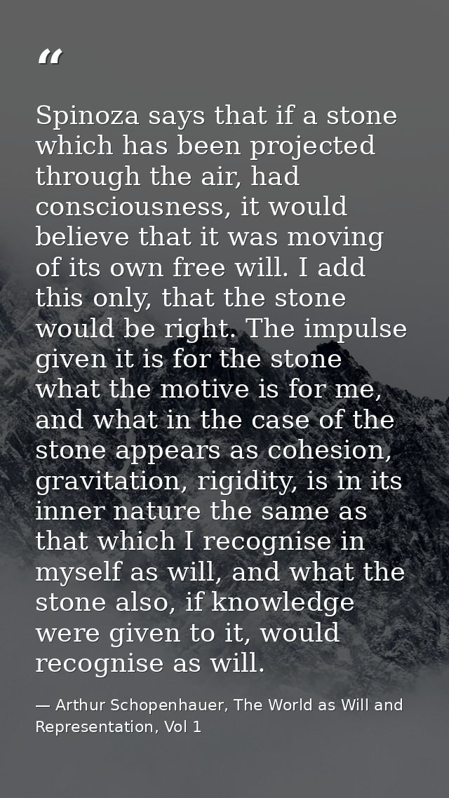 Spinoza says that if a stone which has been projected through the air, had consciousness, it would believe that it was m — Arthur Schopenhauer, The World as Will and Representation, Vol 1