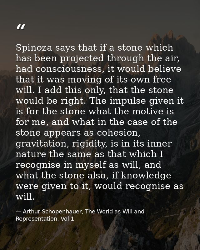 Spinoza says that if a stone which has been projected through the air, had consciousness, it would believe that it was m — Arthur Schopenhauer, The World as Will and Representation, Vol 1