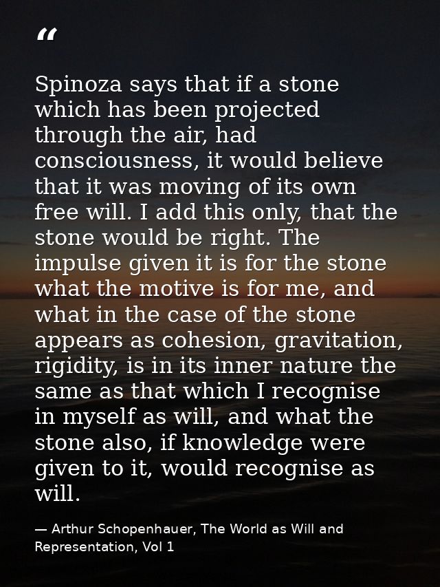 Spinoza says that if a stone which has been projected through the air, had consciousness, it would believe that it was m — Arthur Schopenhauer, The World as Will and Representation, Vol 1