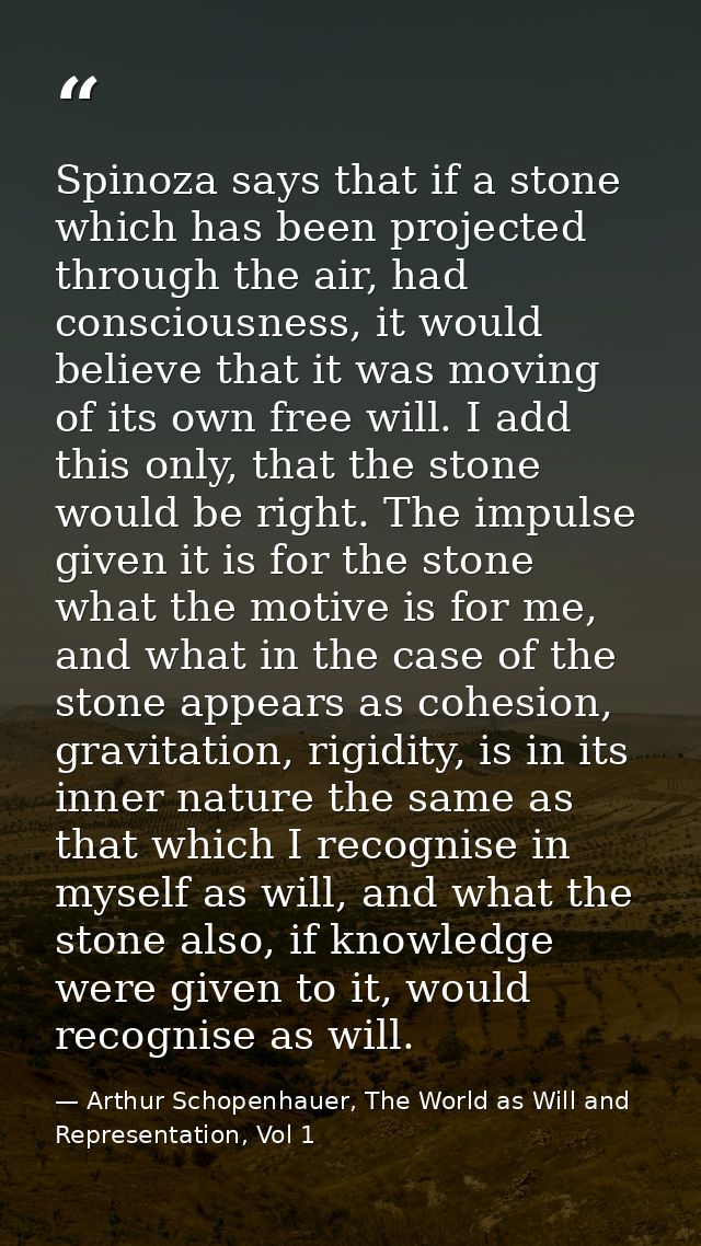 Spinoza says that if a stone which has been projected through the air, had consciousness, it would believe that it was m — Arthur Schopenhauer, The World as Will and Representation, Vol 1