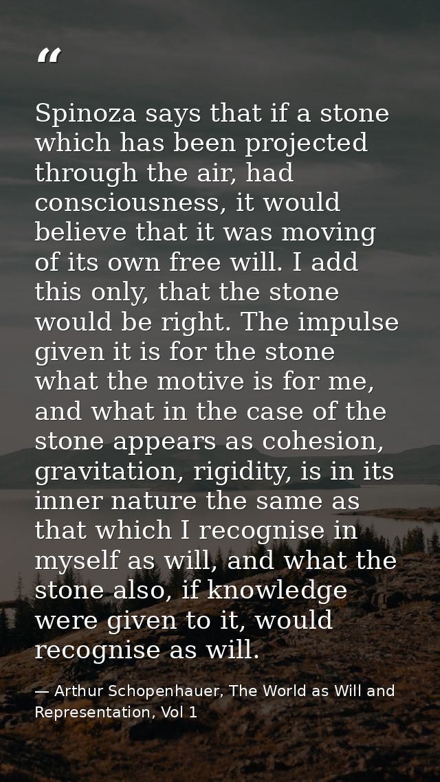 Spinoza says that if a stone which has been projected through the air, had consciousness, it would believe that it was m — Arthur Schopenhauer, The World as Will and Representation, Vol 1