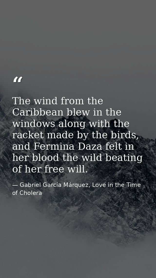 The wind from the Caribbean blew in the windows along with the racket made by the birds, and Fermina Daza felt in her bl — Gabriel García Márquez, Love in the Time of Cholera