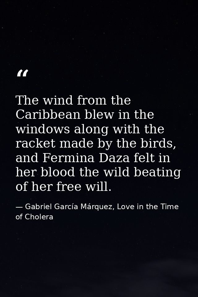 The wind from the Caribbean blew in the windows along with the racket made by the birds, and Fermina Daza felt in her bl — Gabriel García Márquez, Love in the Time of Cholera