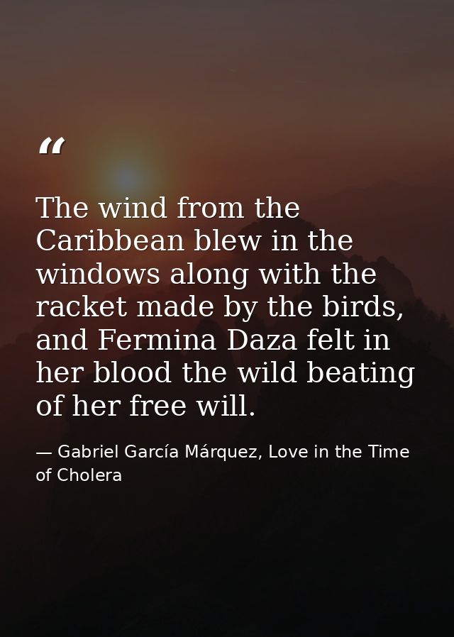 The wind from the Caribbean blew in the windows along with the racket made by the birds, and Fermina Daza felt in her bl — Gabriel García Márquez, Love in the Time of Cholera