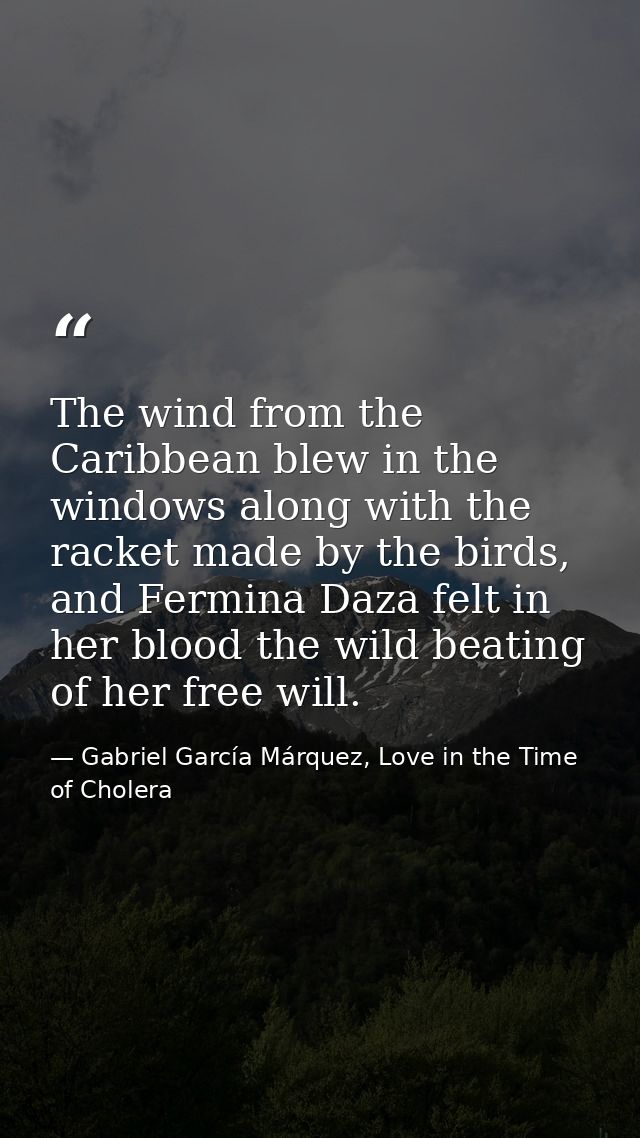 The wind from the Caribbean blew in the windows along with the racket made by the birds, and Fermina Daza felt in her bl — Gabriel García Márquez, Love in the Time of Cholera