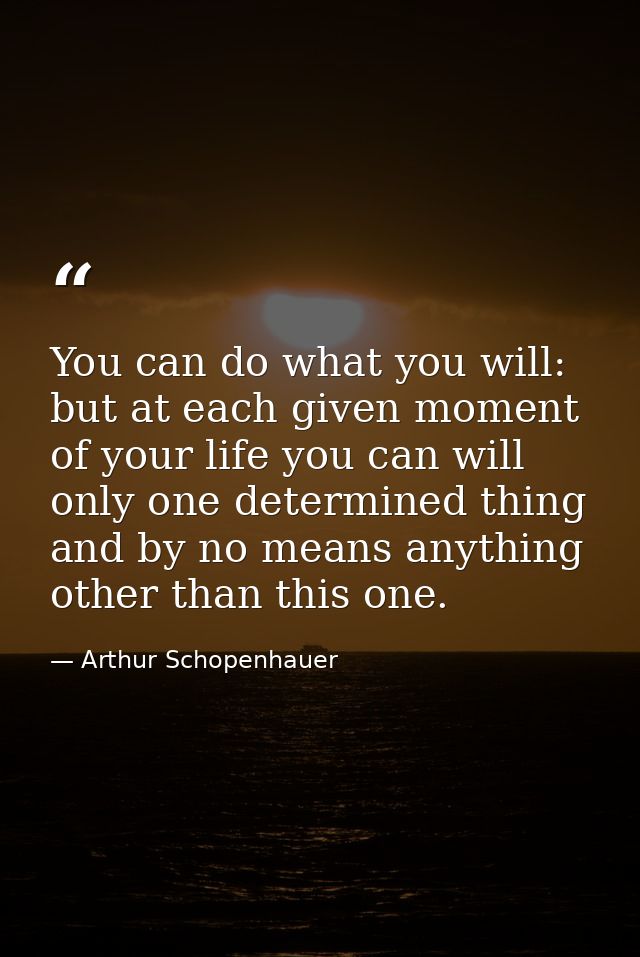 You can do what you will: but at each given moment of your life you can will only one determined thing and by no means a — Arthur Schopenhauer