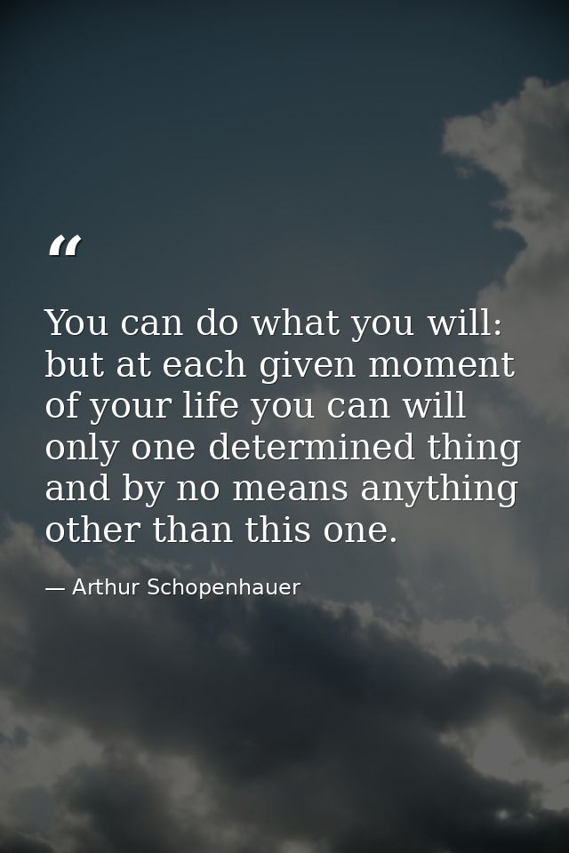 You can do what you will: but at each given moment of your life you can will only one determined thing and by no means a — Arthur Schopenhauer