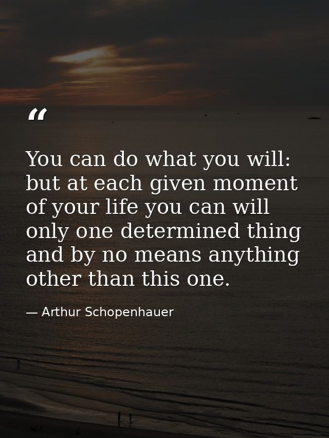 You can do what you will: but at each given moment of your life you can will only one determined thing and by no means a — Arthur Schopenhauer