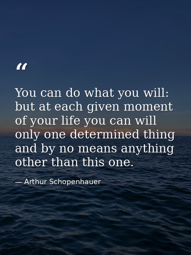 You can do what you will: but at each given moment of your life you can will only one determined thing and by no means a — Arthur Schopenhauer